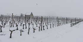 neige en Touraine