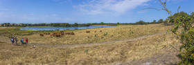 _Y5A0231-Panorama_web.jpg