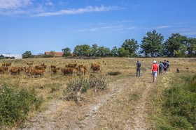 _Y5A0221_web.jpg