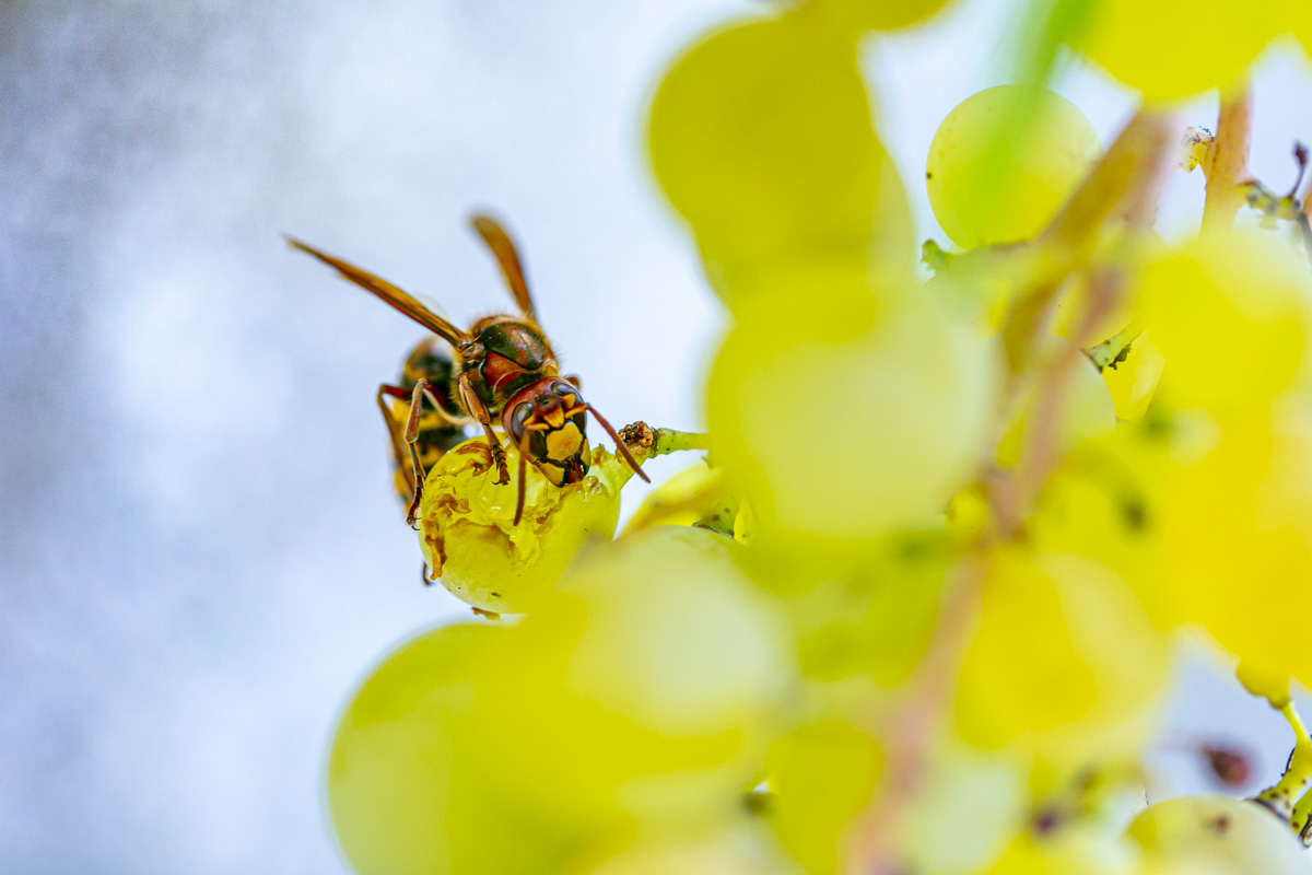 _AR_6839_web.jpg