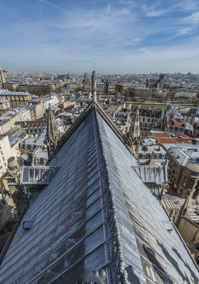 Cathédrale Notre Dame de Paris