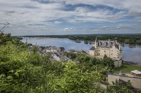 _D803978.jpg