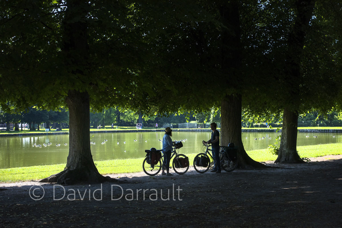 _DSC8846-Modifier.jpg