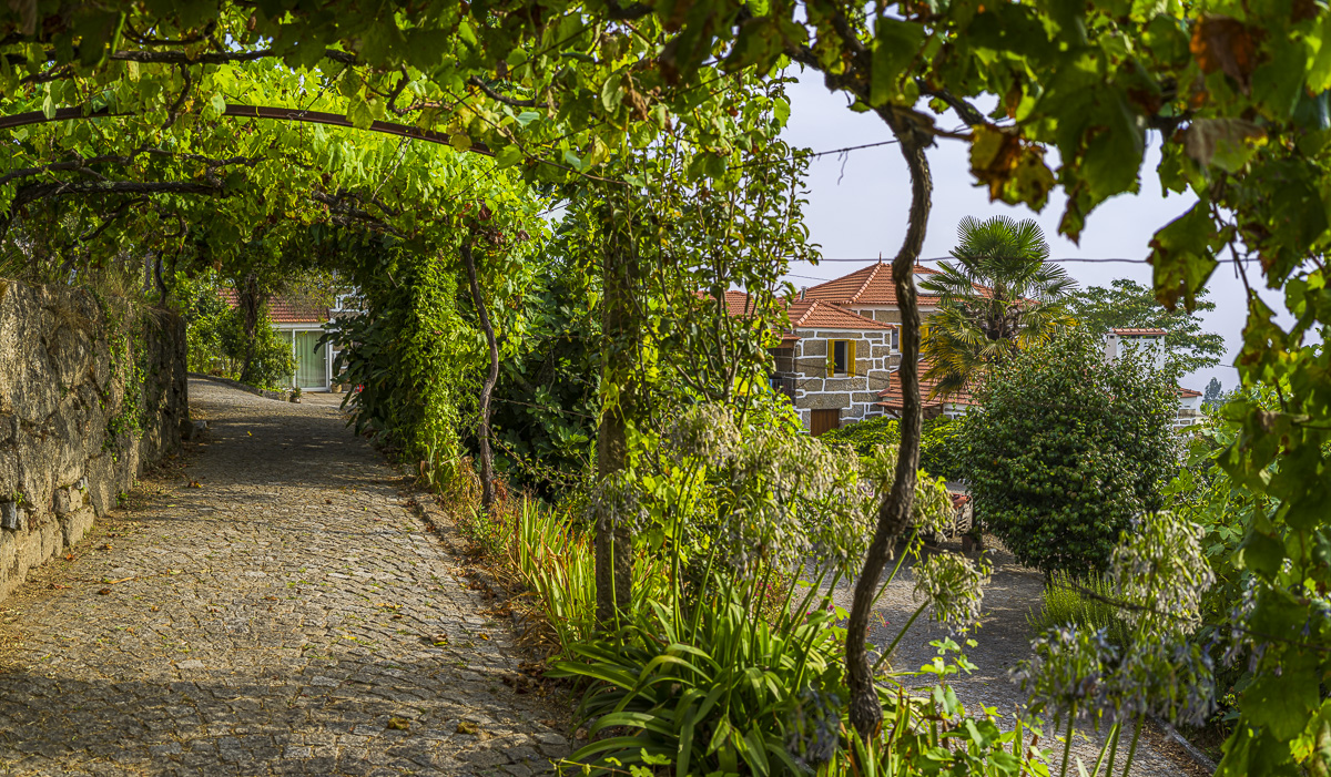 B0003897-Panorama_web.jpg