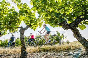 Vélo à Chinon 37