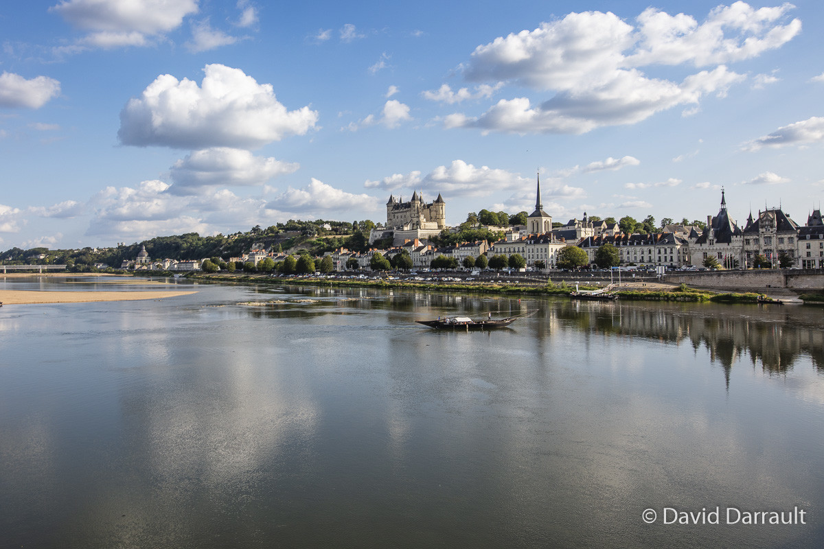 _D008861.jpg