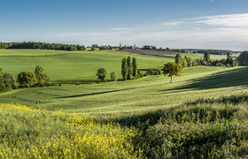 _DSC3425-Panorama-Modifier_web.jpg