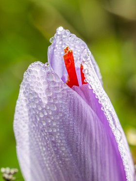 _DSF4753_web.jpg