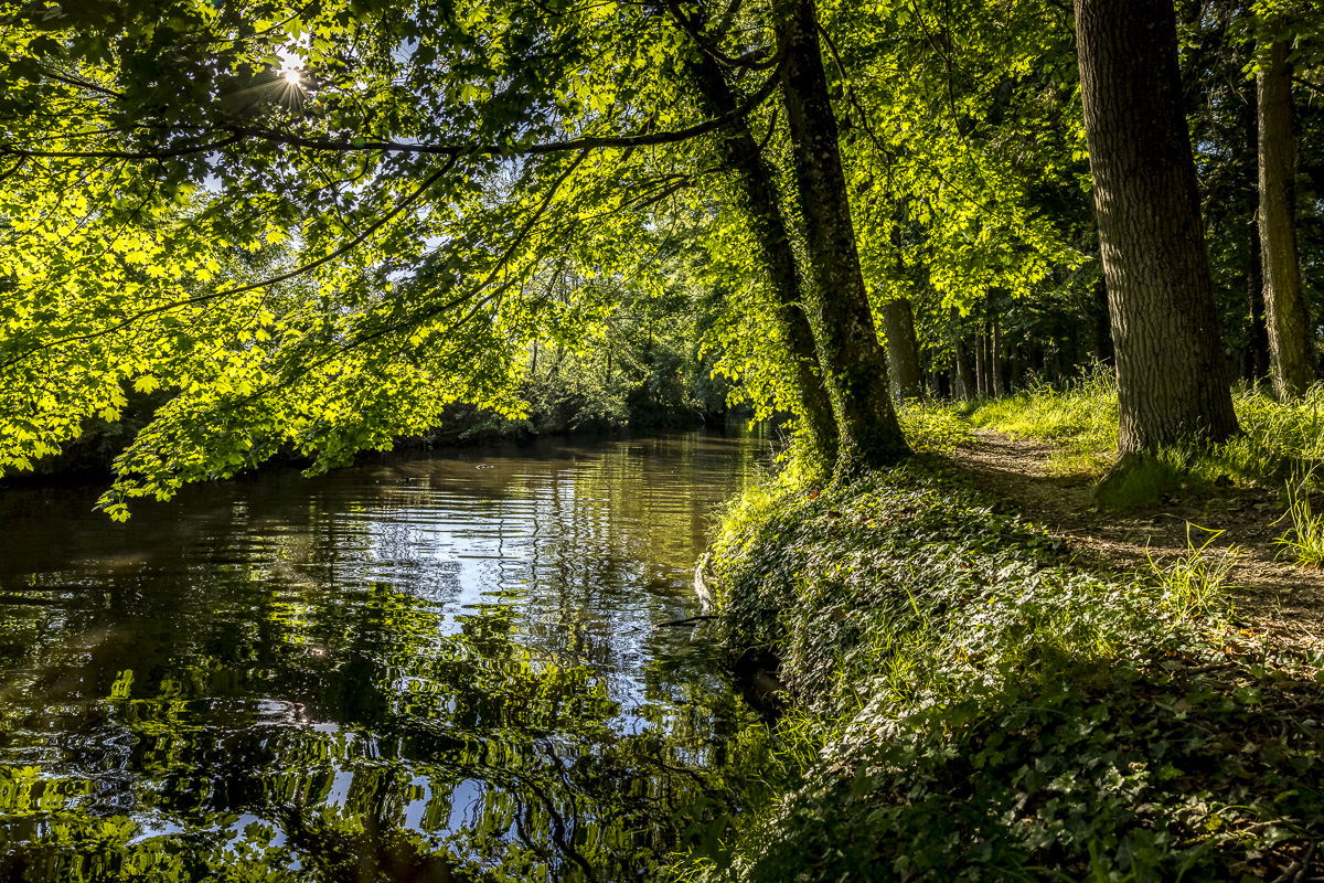 _H6A7692_web.jpg