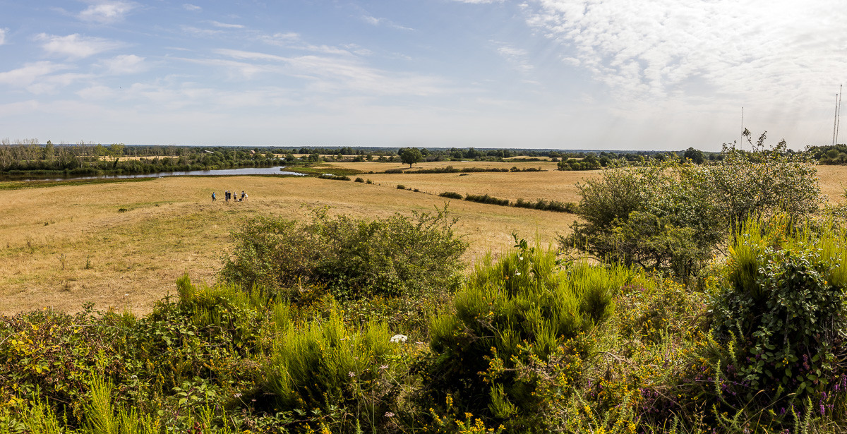 _AR_2415-Panorama_web.jpg