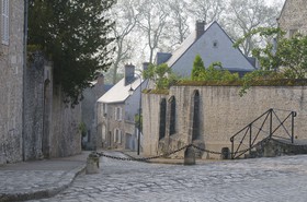 _EGL2339.jpg