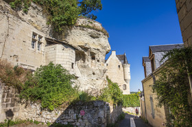 _D003172.jpg