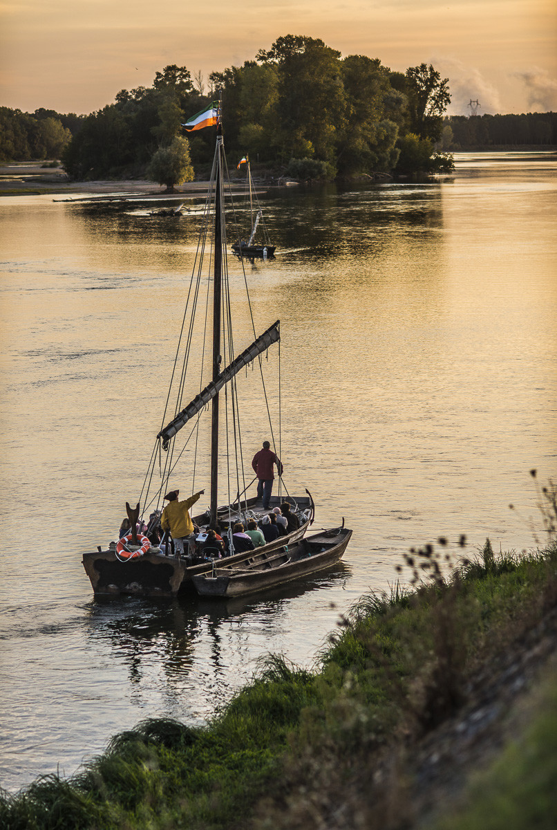 _D806581.jpg