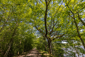 _H6A8077.jpg