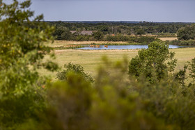 _Y5A0160_web.jpg