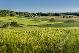 _DSC3386_web.jpg