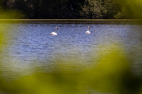 _H6A8029.jpg