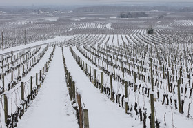 neige en Touraine