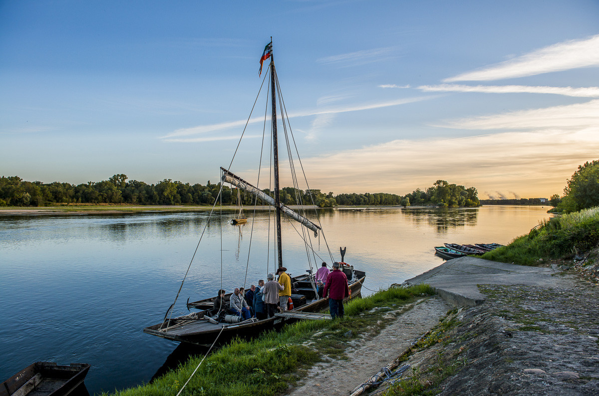 _D806478.jpg