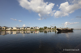 _D008880.jpg
