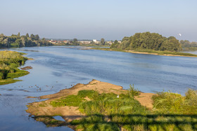 WEB_H6A0337.jpg