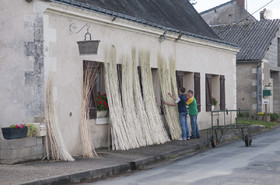 _DAR2671.jpg