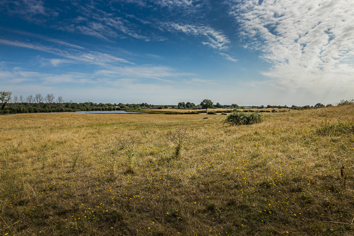 _Y5A0139_web.jpg