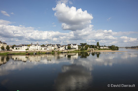 _D008834.jpg