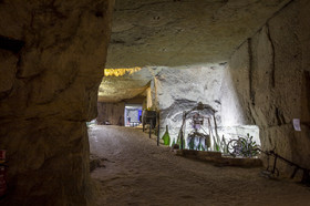 _D005980.jpg