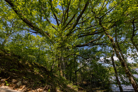 _H6A8059.jpg