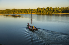 _D806553.jpg