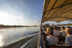 _D008917.jpg