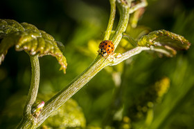 _AR_8778_web.jpg
