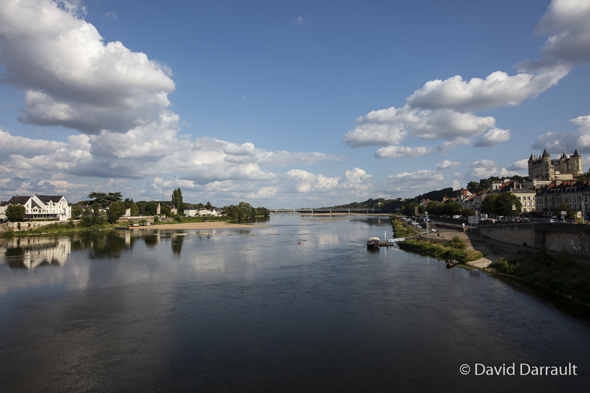 _D008832.jpg