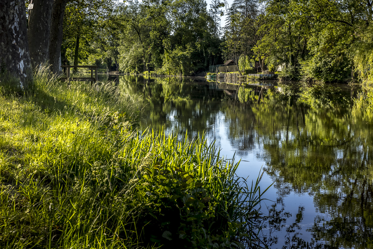 _H6A7704_web.jpg