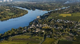 _D801419.jpg