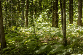 _AR_1754_web.jpg
