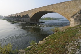 _EGL2280.jpg