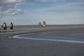 _DSC5811.jpg