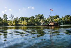 _D806653.jpg