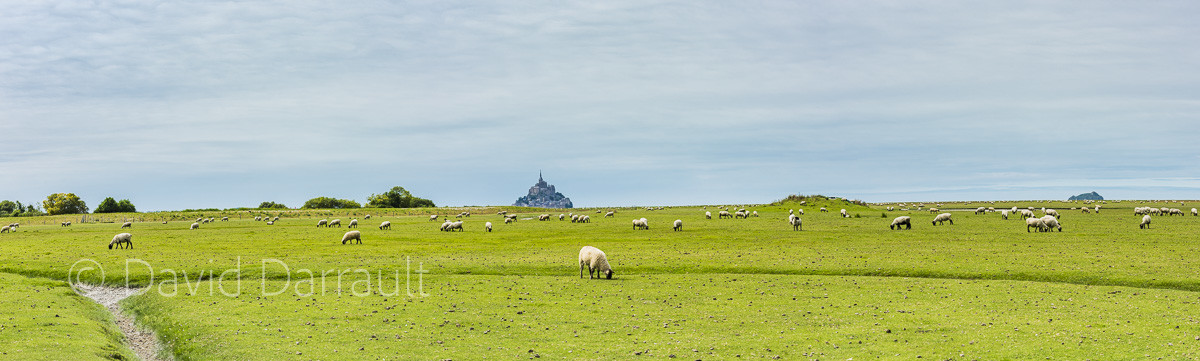 _DSC0019-Panorama.jpg