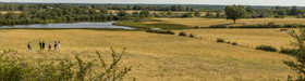 _Y5A0156-Panorama_web.jpg