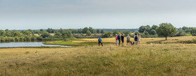 _Y5A0181-Panorama_web.jpg