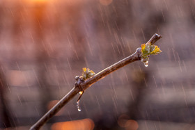_AR_9853_web.jpg
