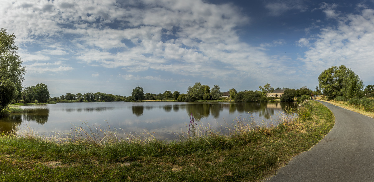 _Y5A0269-Panorama_web.jpg