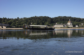 _D008229.jpg