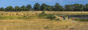 _Y5A0214-Panorama_web.jpg
