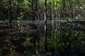 _H6A7950.jpg