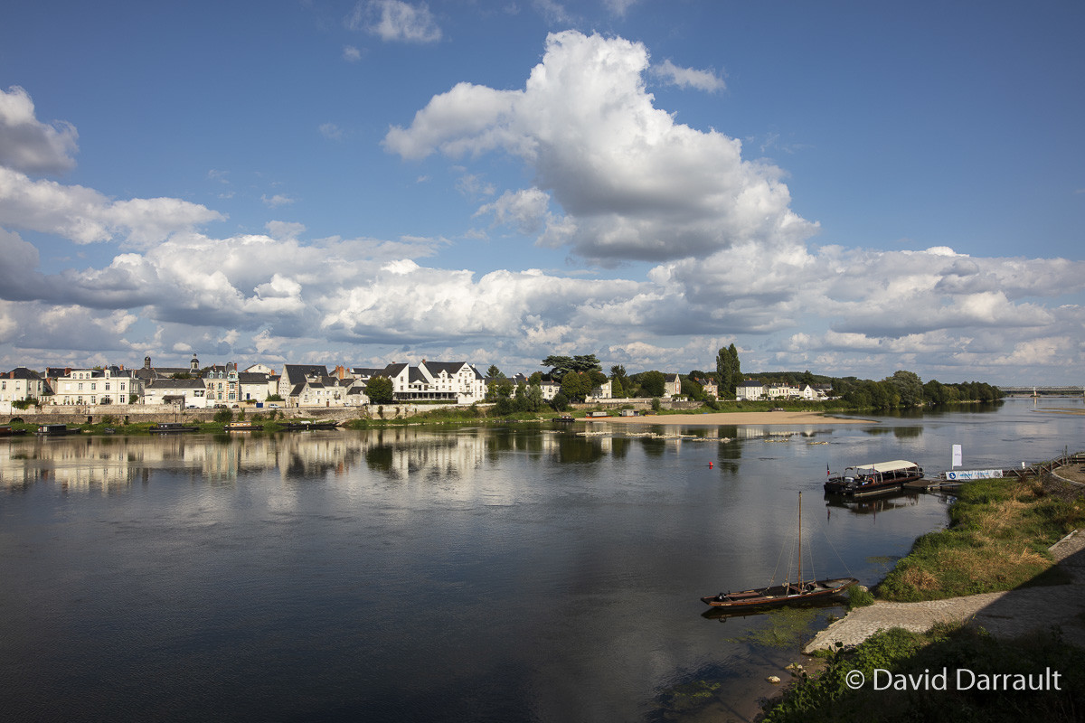 _D008829.jpg