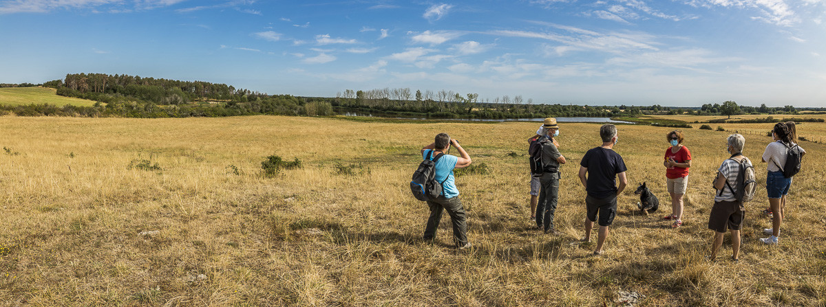 _Y5A0149-Panorama_web.jpg